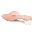 Zakozee Shiny Heels for Women 