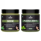 Natural Neem & Pudina Powder for Skin & Hair 