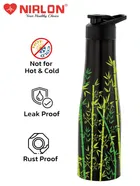 Stainless Steel Insulated Single Wall Water Bottle 