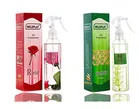 Wildplay Rose & Jasmine Room Air Freshener (Pack of 2, 250 ml)