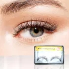 Style Muse Makeup Collection Your Go-To Kit for Stunning Transformations 