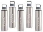 Stainless Steel Insulated Single Wall Water Bottle 