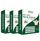 Donnara Organics Neck Pain Relief 10 Pcs Heat Patches 