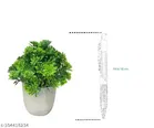 Plastic Artificial Mini Bonsai Plant 