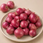 Onion 