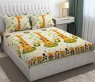 Glace Cotton Queen Size Bedsheet with 2 Pillow Cover 