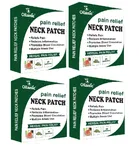 Oilanic Neck Pain Relief 10 Pcs Heat Patches 