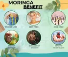 Trivang Organic Moringa Leaf Powder For Weight Loss, Powerful Vitamins & Antioxidants 