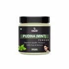 Natural Pudina Powder for Skin & Hair 
