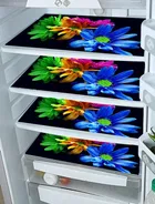 Grover Table Placemats for Kitchen/Dining Table Pack of 6 Black Multicolor Floral
