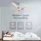 LONGWAY Creta P1 Ultra High Speed 3 Blade Ceiling Fan 