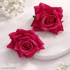 Designer Hair Clips for Women 