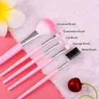 Professional Makeup 5 Piece Pink Brush With Beauty Blender 