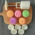 Moon Cake Mold Press with 5 Stamps, Multicolour, Set of 1