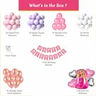 Barbie Theme Birthday Balloon Decoration Kit For Kids, Multicolor, Pack Of 77