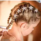 Fancy Hair Clips for Women 