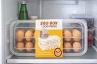 Fridge Egg Container Box
