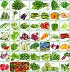 Zello 45 Varieties 2700+ seeds(Organic/Hybrid) Fruits & Vegetables Seed (4000 per packet)