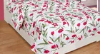 Polycotton Double Bedsheet with 2 Pillow Cover 