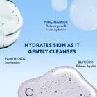 Cetaphil Gentle Skin Cleanser 250 ml