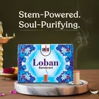 सायकल प्योर वासु लोबान स्टेम सांबरानी, 70 N 