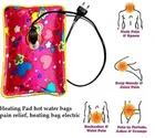 Electric Hot Water Bag For Pain Relief