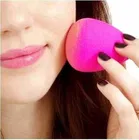 12 Piece Makeup Brush Set With Makeup Blender Combo 