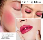 Lip Gloss Tint, Multicolor, Pack of 1