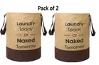 RAJ BAG 45 L Beige, Brown Laundry Bag, Non Woven, Pack of 2