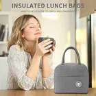 Insulated Tiffin & Lunch Bag 