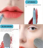 Colorstock Beauty 8 Pcs Makeup Brushes Set 