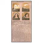 स्ट्रीक्स इंस्टा शैम्पू हेयर कलर  नेचुरल ब्राउन 4, 18 ml