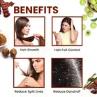 Amla, Reetha, Shikakai Powder 