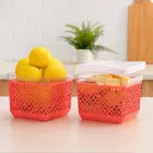 PARIKSHIT Plastic Multipurpose Net Container 