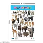 Bookford Publications Both Sides Big Laminated Charts – Healthy Food & Wild Animals 