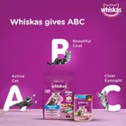 Whiskas Ocean Fish Kitten/Mother and Baby Cat Dry Food 