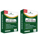Park Daniel Neck Pain Relief 10 Pcs Heat Patches 