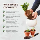 Zello 100% Natural and Organic Cocopeat Powder 1 Kg