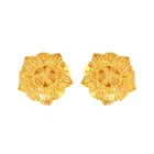 Alloy Earrings for Women 