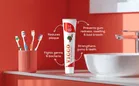 Vicco Vajradanti Ayurvedic Toothpaste 200 g