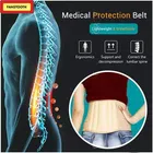 L.S BELT for BACK PAIN SUPPORT WAIST pack of 1
