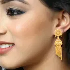 Oxidised Alloy Earrings Set for Women 