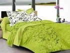 Cotton Queen Bedsheet with 2 Pillow Cover 