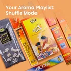 साइकिल प्योर आल इन ओने असॉर्टेड इन्सेंसे स्टिक्स, 173 N