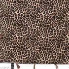 Printed Georgette Stoles for Women, Black & Brown 