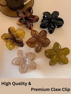 Acrylic Hair Clip, Pack of 4 (Multicolor)