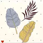 Cotton Fitted Elastic 88x88in Bedsheet 