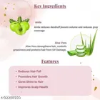 Zoovara Premium Apple Hair Oil for Hair Regrowth 