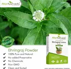 Natural Bhringraj Powder 
