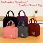 Insulated Tiffin & Lunch Bag 